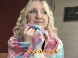 Vannessaspark