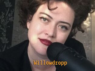 Willowdropp