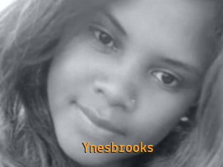 Ynesbrooks