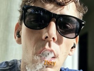 Zboy